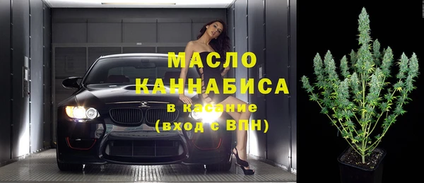 сатива Новодвинск