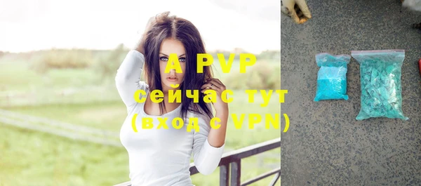 дурь Болохово