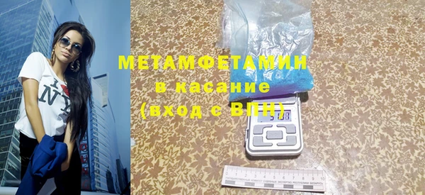сатива Новодвинск