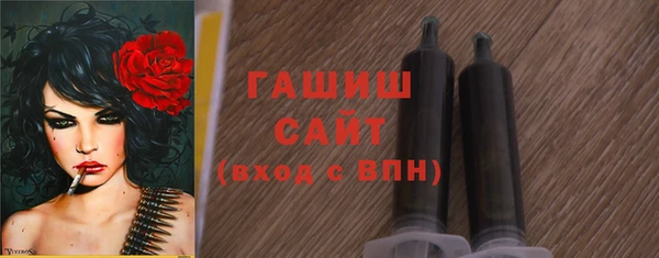 сатива Новодвинск