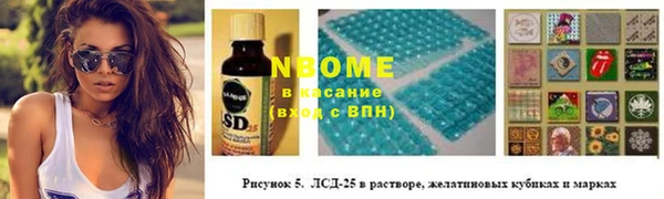 сатива Новодвинск