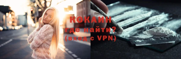 сатива Новодвинск