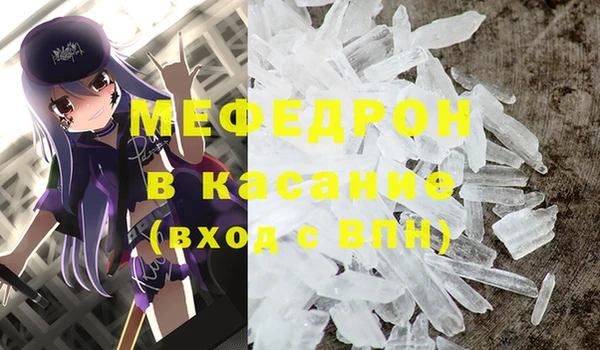 сатива Новодвинск
