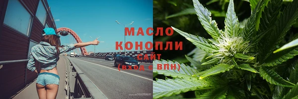 сатива Новодвинск
