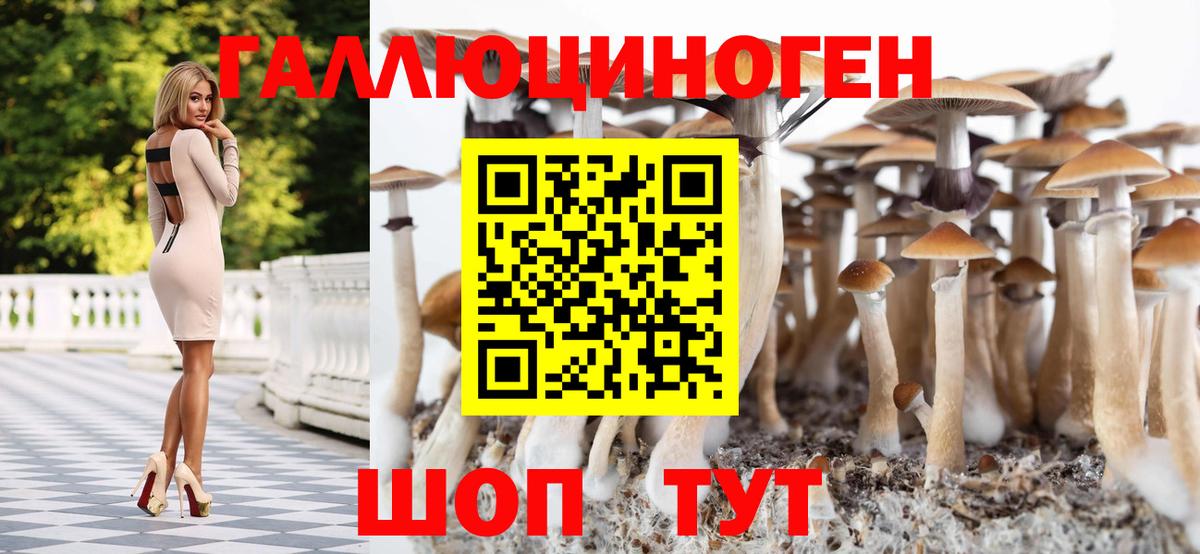 Галлюциногенные грибы Psilocybe Сарапул